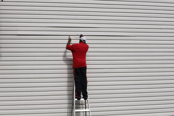 Affordable Siding Repair and Maintenance Services in Holly, MI